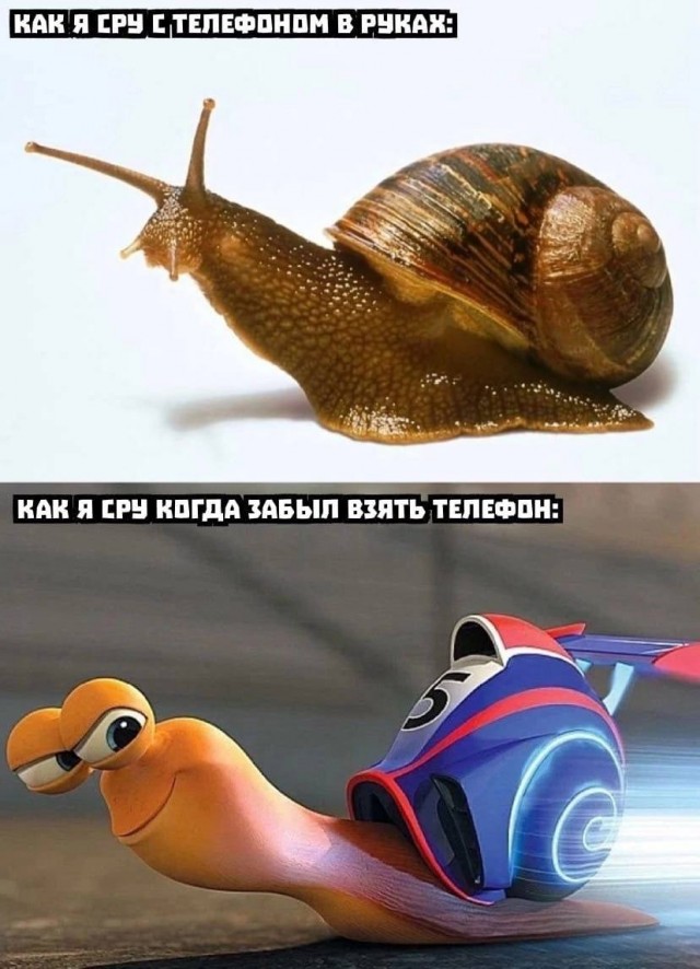 Так себе картинки 20.12.22
