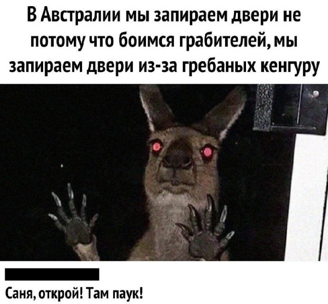 Немного картинок для настроения 07.03.2023
