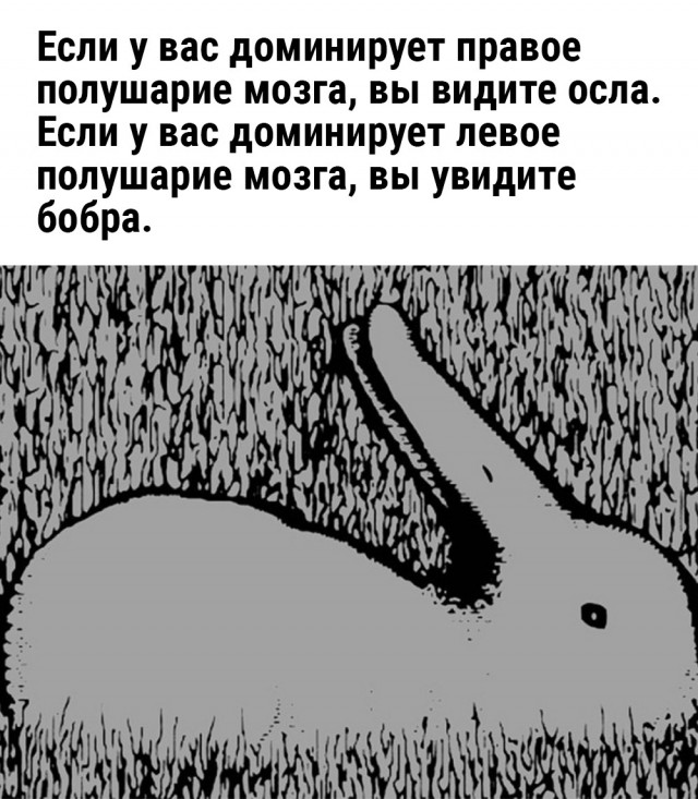 Картинки и мемы для настроения - 167
