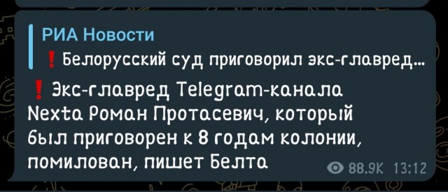 Роман Протасевич помилован