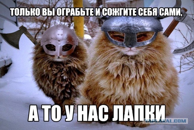 Баяны и аккордеоны. Смешные и не очень