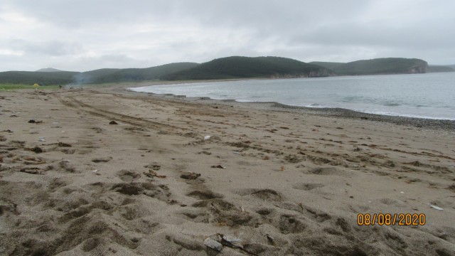 На пляжах Анапы закончились не только лежачие, но и сидячие места. Загорать там можно только стоя