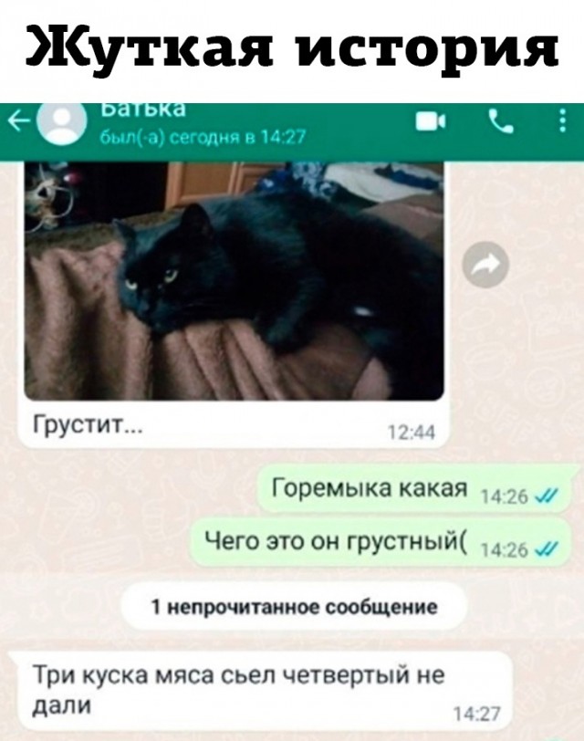 Так себе картинки 28.07.23