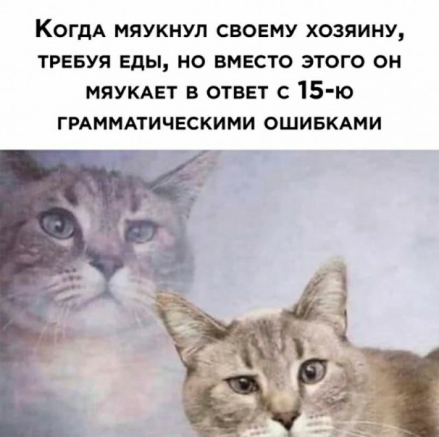 Скупка краденого из сети 09-08-2023