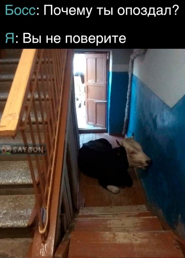 Так себе картинки 04.12.23