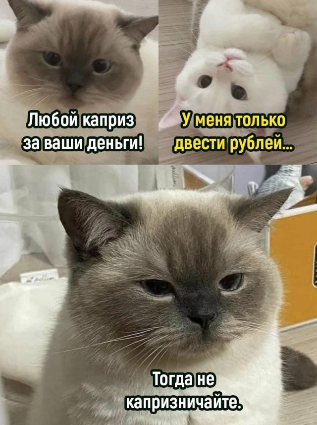Прикольные комменты и картинки