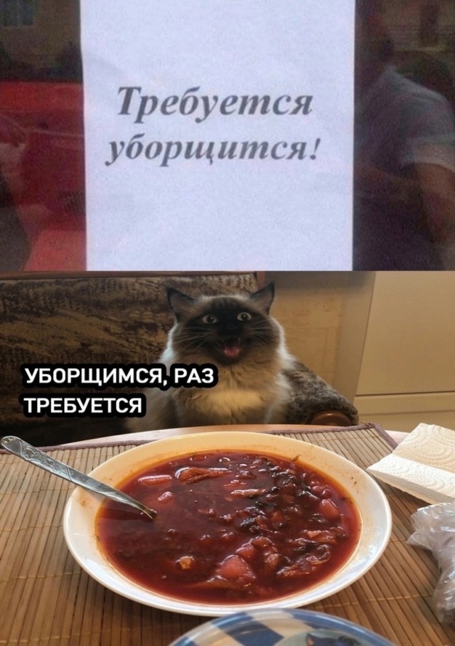 Куча веселых картинок