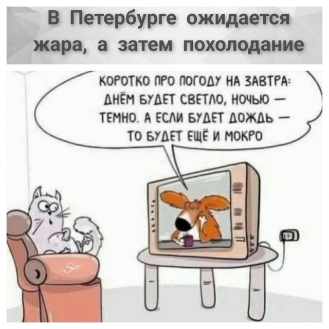 Так себе картинки 14.04.24