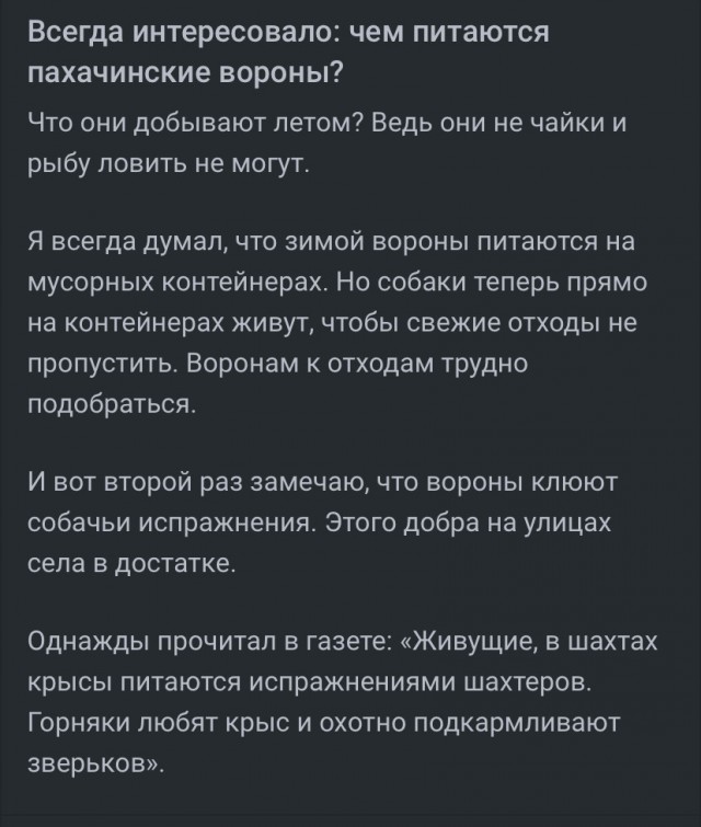 12 марта в Пахачах оттепель с влажным восточным ветром