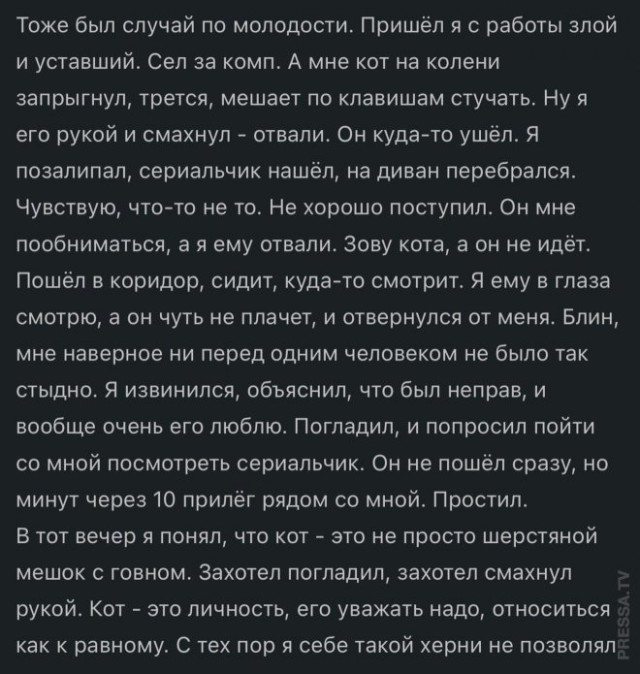 Так себе картинки 07.05.24