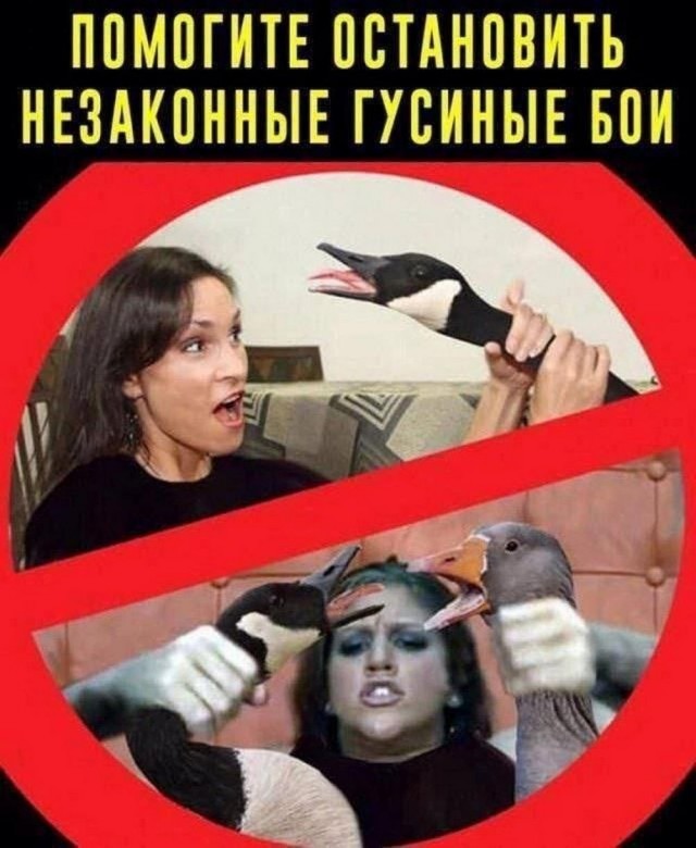 Юмор в картинках и без