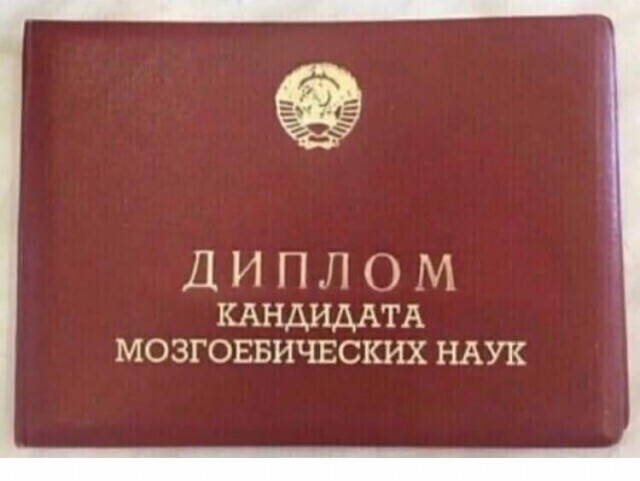 Прикольные и просто красивые картинки 16.08.2024