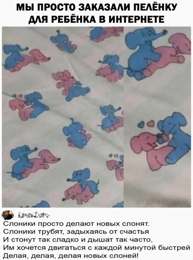 Так себе картинки 22.08.24