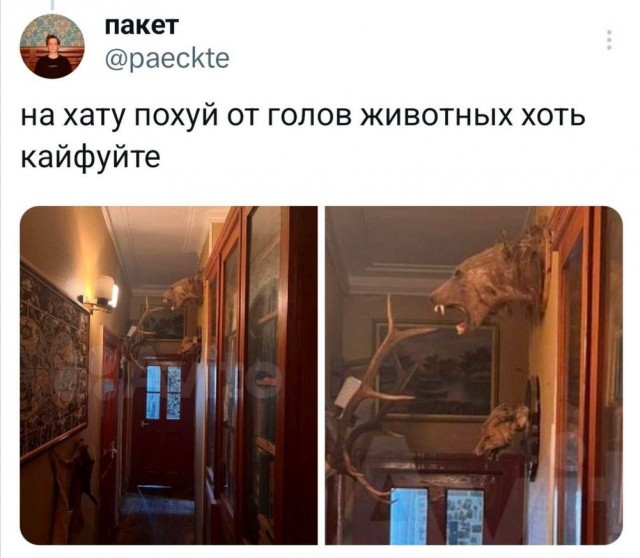 Нуштош 25.10.2024