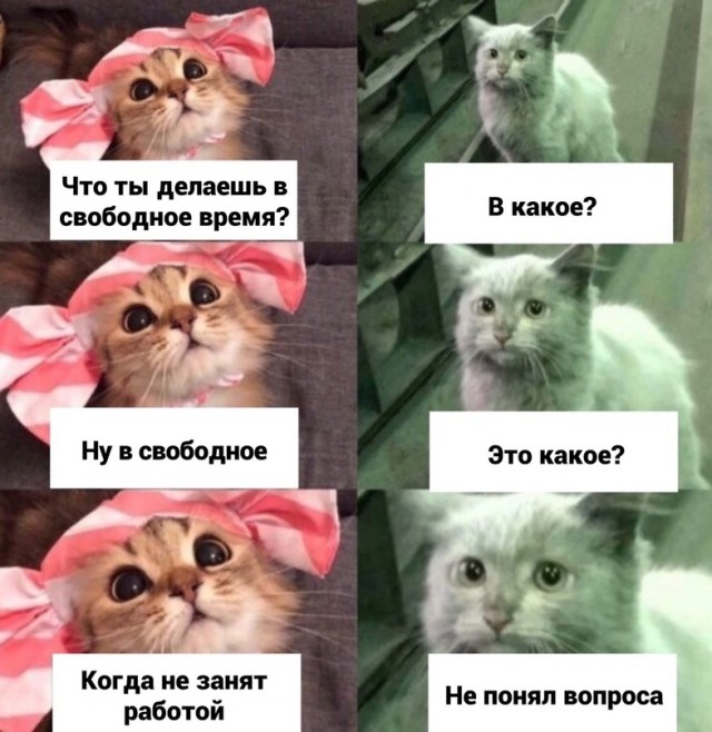 Что может скрасить работу в воскресенье?
