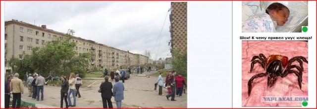 Как рождается смерч (видео)