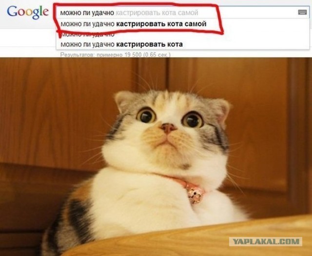 Шкаф (перезагрузка)