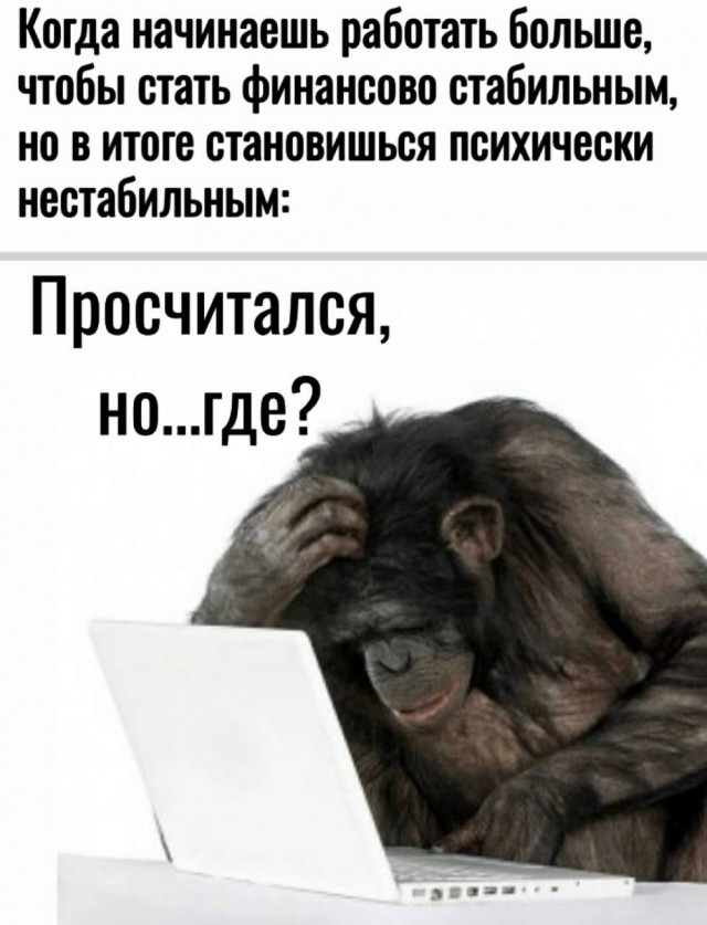 Так себе картинки 19.08.25