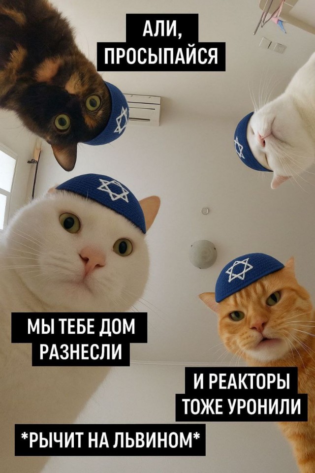 Юрий Шевчук: "мы не рабы"