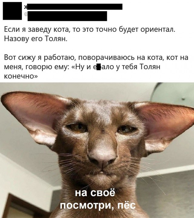 20362237.jpg