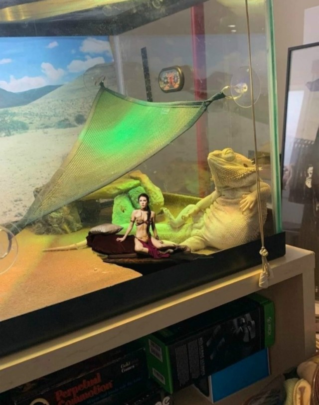 Картинки субботнего утра