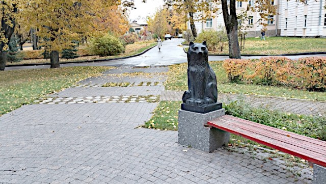 Вот такая красота у нас сегодня