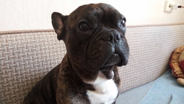 Да я просто полежу. Кому я мешаю?