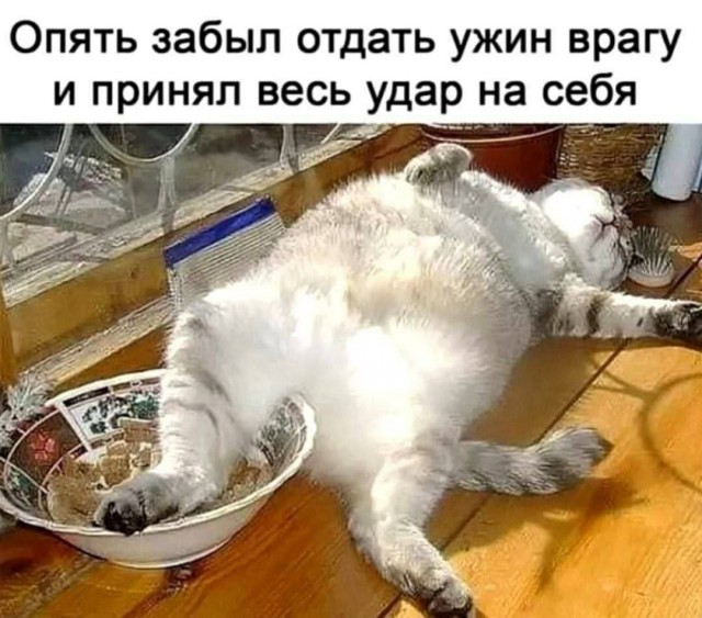 Дегрономикон депрессивный