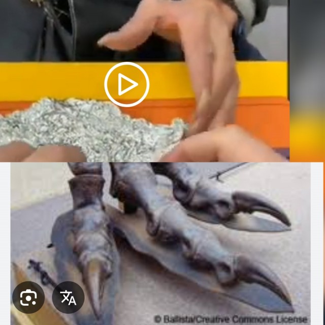 Средства защиты телефона