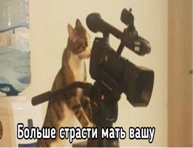Фильмец какой бы глянуть вечером.