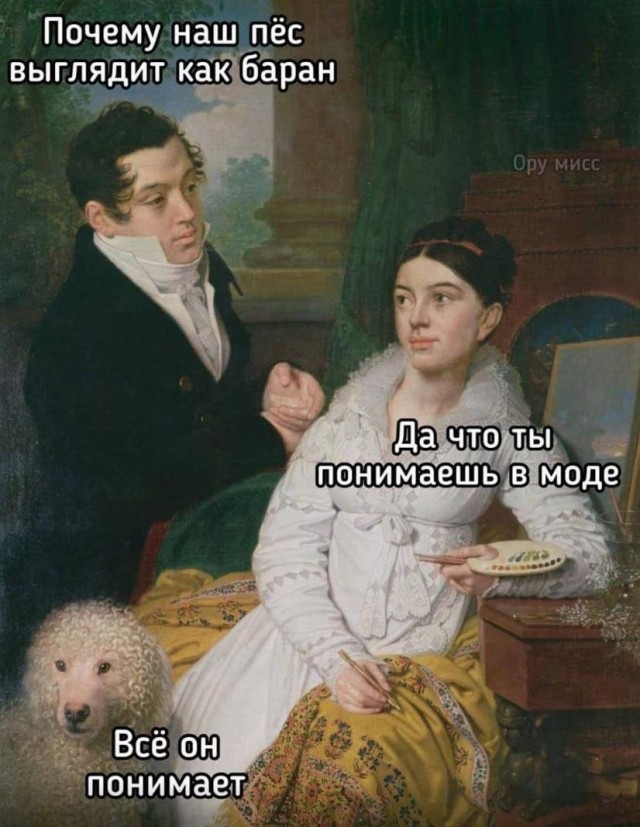 Картинки для деградации 208 (разной степени свежести)