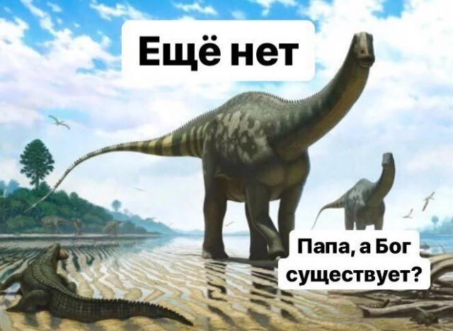Отсутствие морально этических норм Vol.81