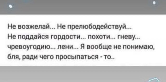 Так себе картинки 11.07.26