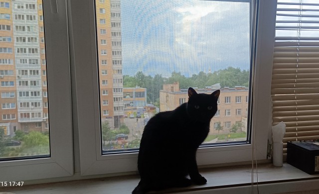 Тень...