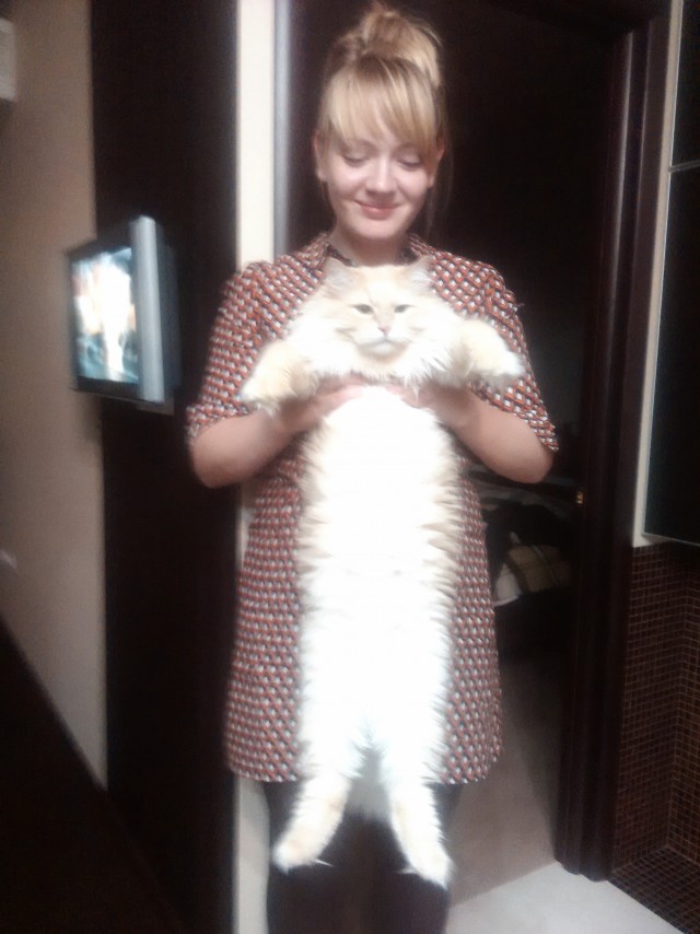 Помогите найти кота