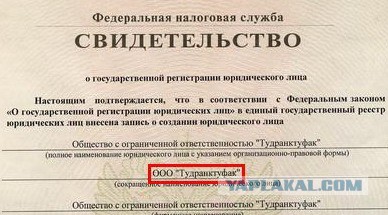 ООО «Какой большой!»