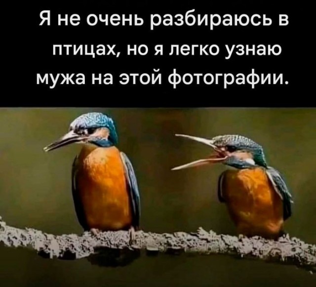Веселые картинки в пятницу (09.10)