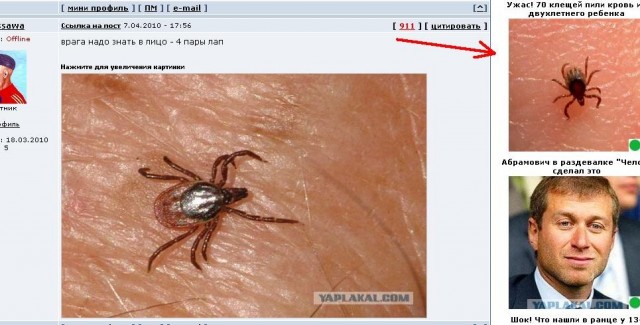 Как бороться с лесным клещом