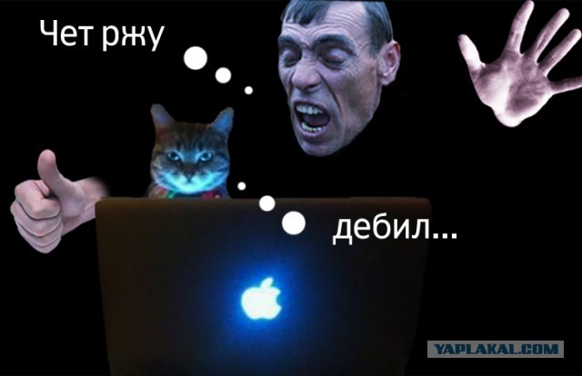 Мы посмотрели твою историю посещений