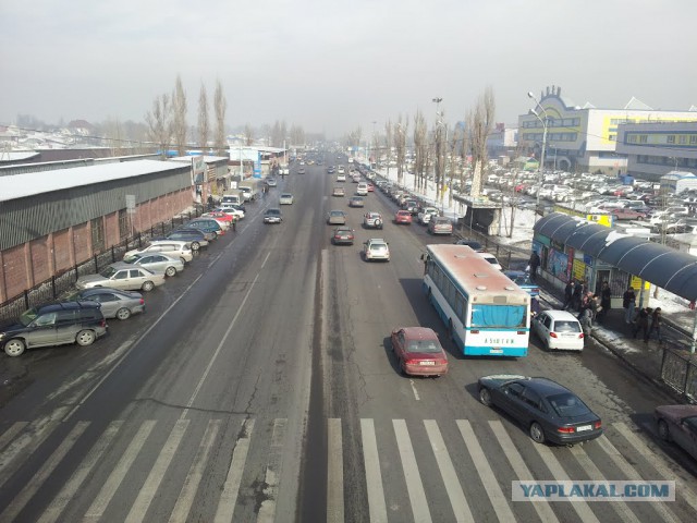Зеленый рынок в Алматы