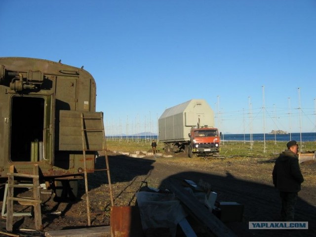 Подсолнух
