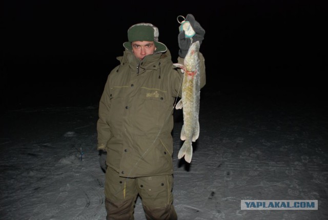 А какое хобби у вас?