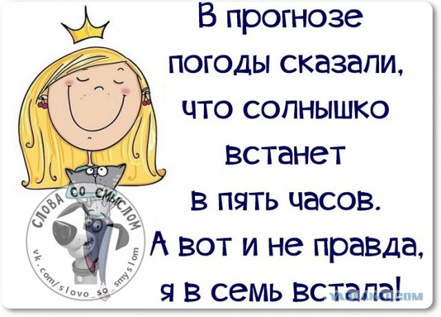 Веселые жизненные наблюдения из Вредного журнала