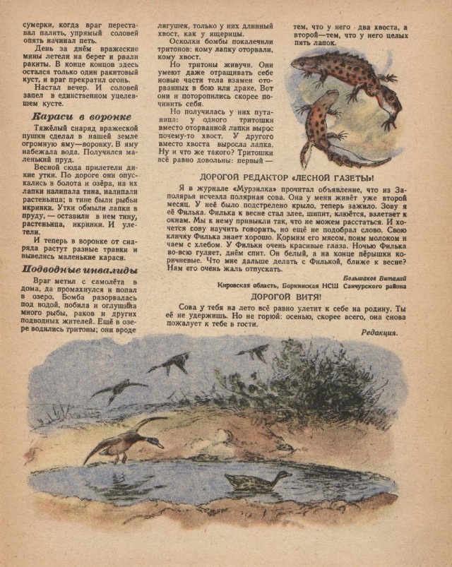 Журналы "Огонек", год 1945