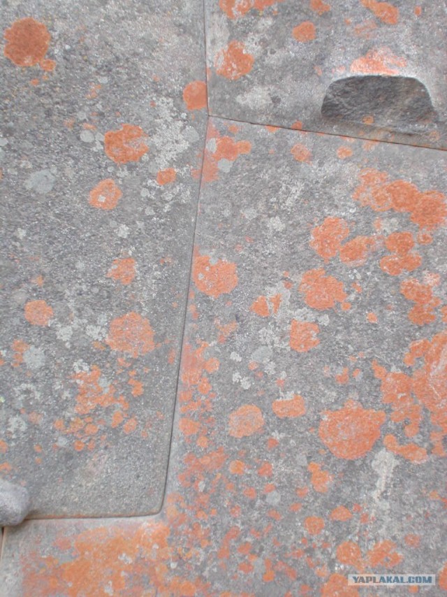 В Египте открыли некрополь Серапеум