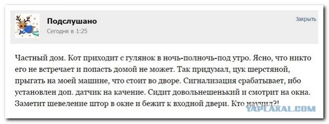 Смешные комментарии из соц. сетей 28.10.15