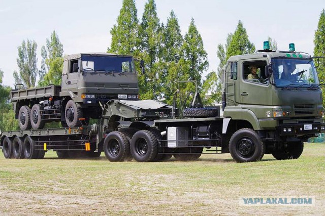 Игра на ЯПе: Угадай АВТО-9
