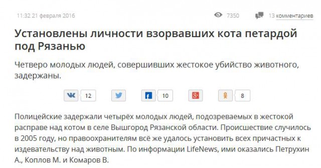 Полицейские задержали взорвавших кота рязанцев