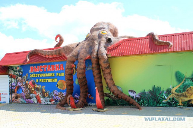 Вечерний Геленджик