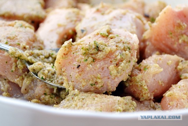 Электрошашлык party